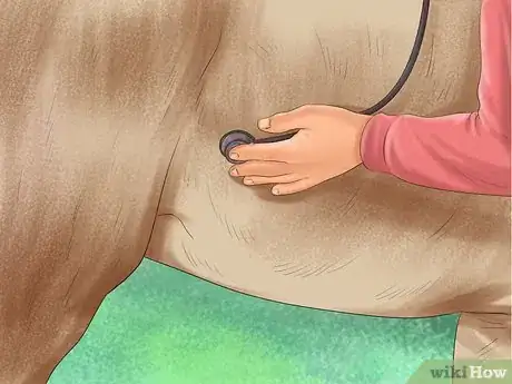 Image titled Diagnose the Cause of Fatigue in Horses Step 7