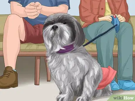 Image titled Reduce Anxiety in Dogs Step 6