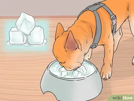 Image titled Identify and Correct Unwanted Dog Behaviors Step 22