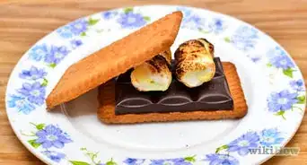 Make an Indoor S'more