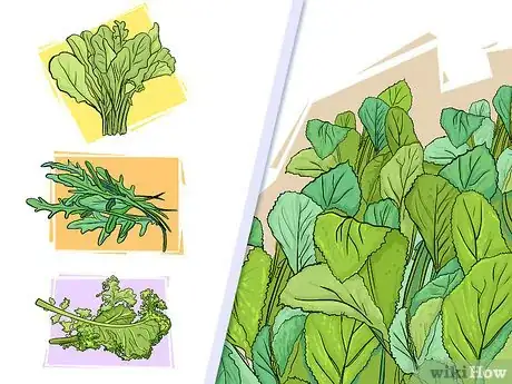 Image titled Choose Vegetables for a Shade Garden Step 1