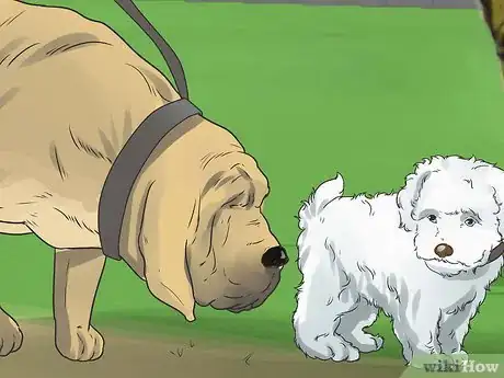 Image titled Introduce a New Puppy Step 19