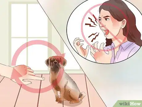 Image titled Train Puggles Step 6