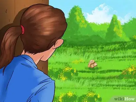 Image titled Keep a Pet Squirrel Step 4