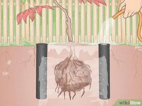 Image titled Plant Trees Near a Home without Damaging Your Foundation Step 16