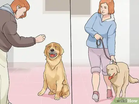 Image titled Handle a Dog Given to You As a Gift Step 9