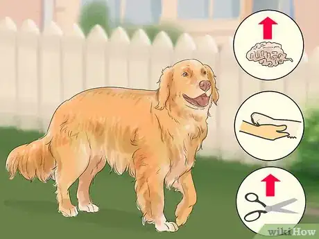 Image titled Choose a Dog That's Easy to Train Step 7