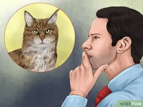 Image titled Identify Early Signs of Chronic Kidney Disease in Cats Step 11