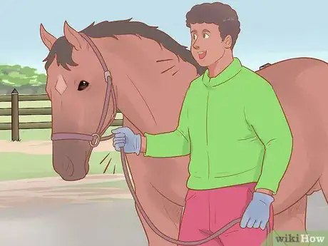 Image titled Handle and Control a Stallion Step 4