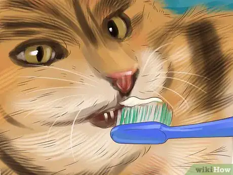Image titled Diagnose and Treat Periodontitis in Cats Step 11