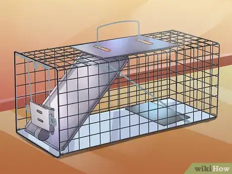 Image titled Deal with Rats Step 6