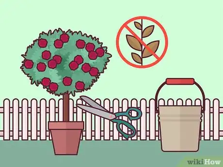 Image titled Prune Tree Roses Step 13