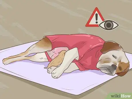 Image titled Prevent Disease in Orphaned Newborn Puppies Step 5