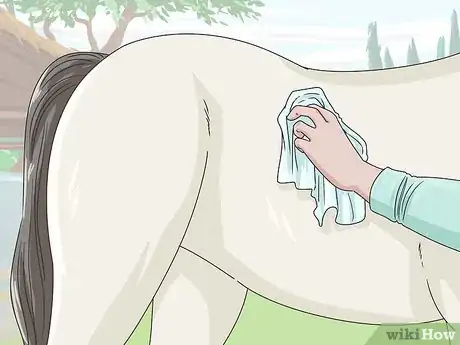 Image titled Clean a Horse Step 13