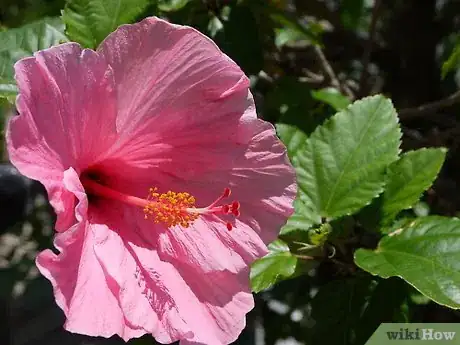 Image titled Become a Humanist Step 4