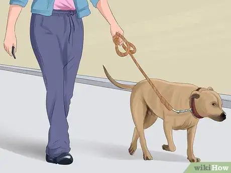 Image titled Figure out Dog Years Step 8