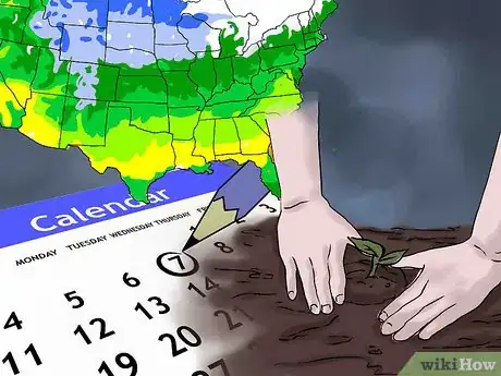 Image titled Understanding Plant Hardiness Zones Step 8