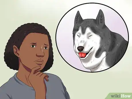 Image titled Deal with Having a Visually Impaired Dog Step 6