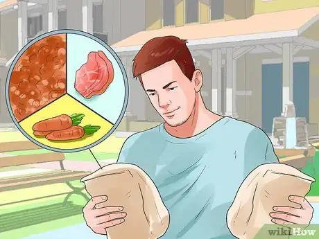 Image titled Care for English Springer Spaniels Step 1