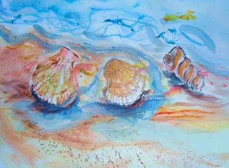 Image titled Seashellswater