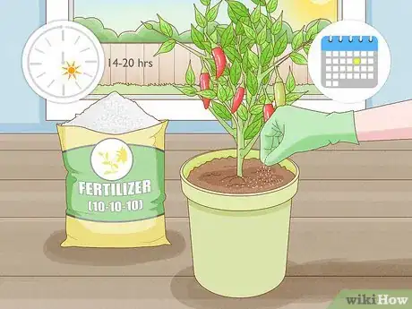 Image titled Grow Vegetables Indoors Step 6