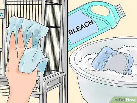 Image titled Keep Multiple Cockatiels Step 9