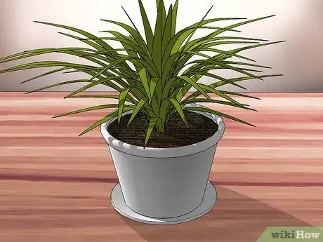 Image titled Decorate a Bar Step 4