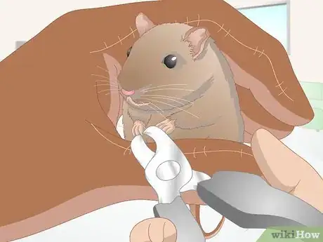 Image titled Groom a Gerbil Step 6