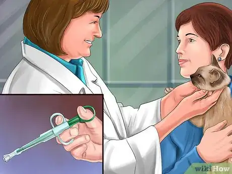 Image titled Give Serotonin (5 Ht) Agonists to a Cat Step 6