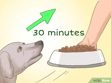 Image titled Get a Dog to Eat Step 16