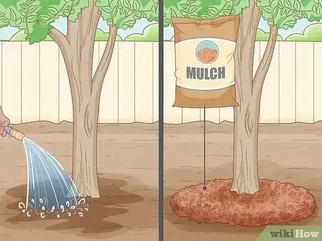 Image titled Keep a Pear Tree Healthy Step 14