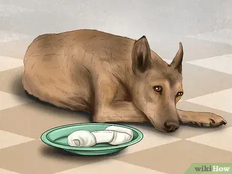 Image titled Keep a Mother Dog Healthy Postpartum Step 12