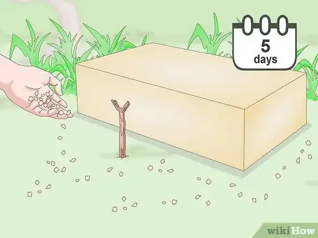 Image titled Trap a Robin Bird Step 5