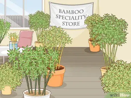 Image titled Buy Bamboo Step 8