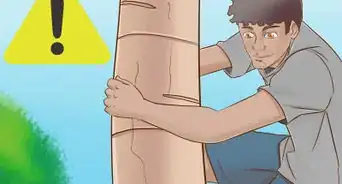 Climb a Tree With No Branches