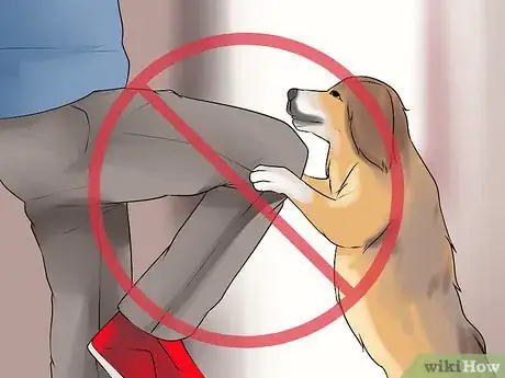 Image titled Discourage Your Host's Obnoxious Dog Step 5