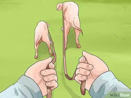 Image titled Walk Two Dogs Step 12