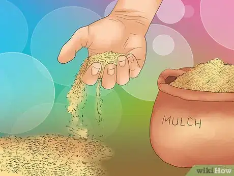 Image titled Grow Chestnut Trees Step 15