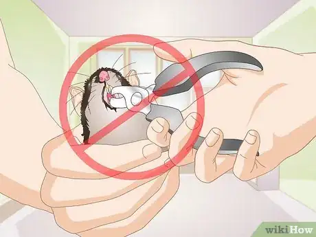 Image titled Prevent and Treat Overgrown Teeth in Mice Step 6