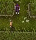 Farm on RuneScape