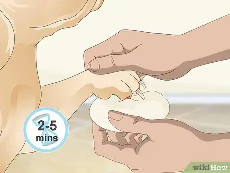 Image titled Stop a Quick from Bleeding Step 4