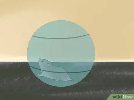 Image titled Set a Routine for Your Hamster Step 11
