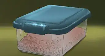 Choose Healthy Dog Food