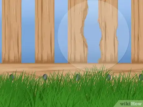 Image titled Stop Your Dog from Running Out of the Backyard Step 7