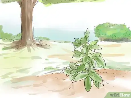 Image titled Plant Peonies Step 5