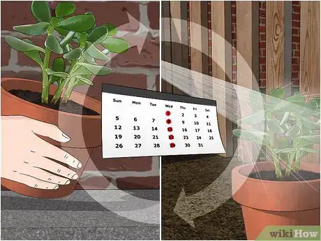 Image titled Kill Spider Mites Step 3