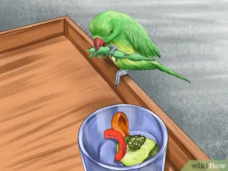 Image titled Pack and Move Your Bird Step 20