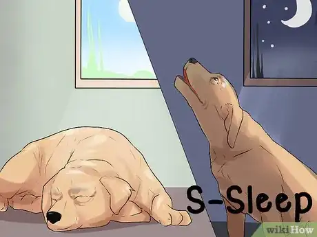 Image titled Diagnose Cognitive Dysfunction in Senior Dogs Step 3