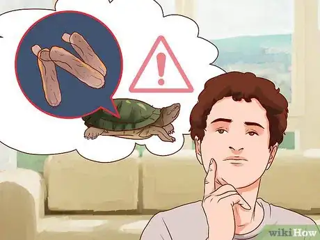 Image titled Catch Water Turtles Step 12