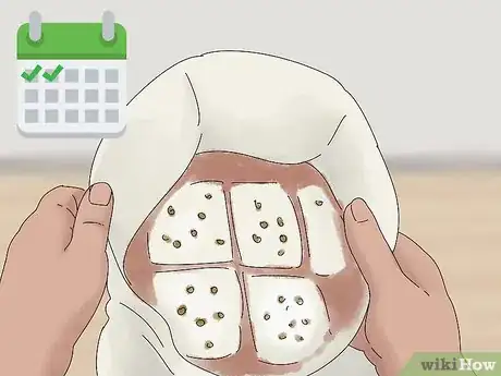 Image titled Grow King Oyster Mushrooms Step 9